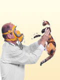 Картинка-анонс к статье Аллергия на кошку