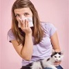 Проявление аллергии на кошек