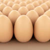 Симптомы аллергии на яйца у взрослых
