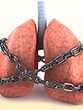 Картинка-анонс к статье Что можно делать, а чего нельзя при бронхиальной астме