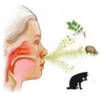 Боль в горле при аллергии
