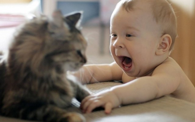 Грудной ребенок играет с котом