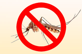 какие комары опасней