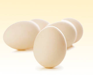 Яйца вызывают аллергию