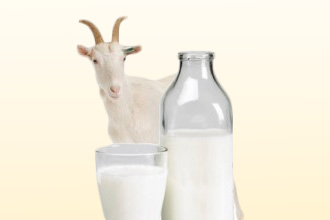 Козье молоко для лечения аллергии у грудничков thumbnail