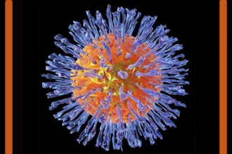 Изображение вируса герпеса