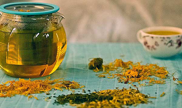 Отвар чистотела с медом в народном лечении простатита